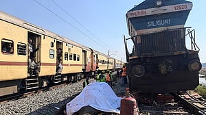 Seven elephants killed in India train accident