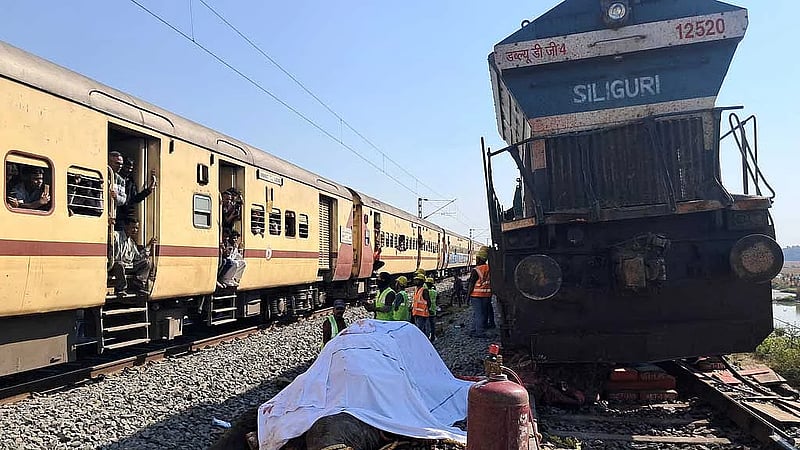 Seven elephants killed in India train accident
