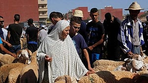 Drought-hit Morocco asks citizens not to slaughter sheep on Eid al-Adha