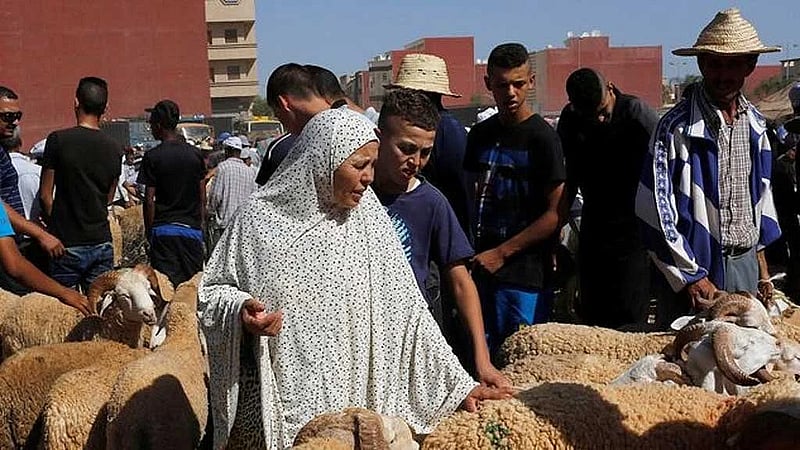 Drought-hit Morocco asks citizens not to slaughter sheep on Eid al-Adha