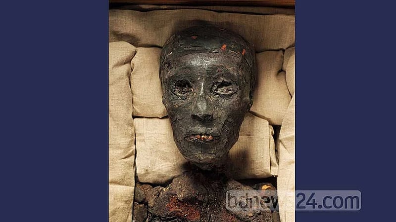 Egypt announces first discovery of pharaoh's tomb in more than 100 years
