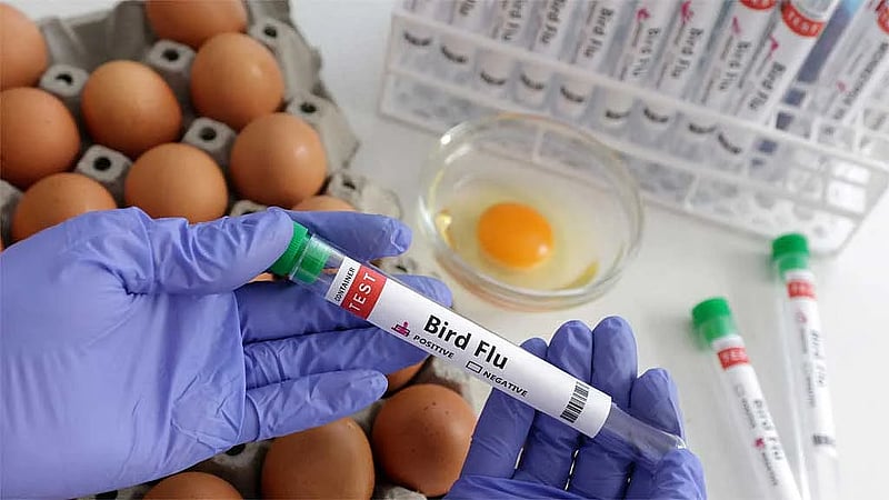 Poland to implement tougher measures to contain bird flu