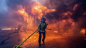Study attributes 440 'excess deaths' to January's Los Angeles wildfires