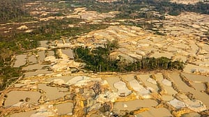 Smuggled mercury shows extent of illegal Amazon gold mining