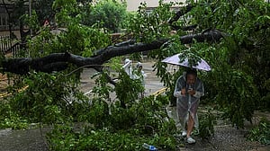 Typhoon rains batter Hong Kong before Wipha weakens to severe tropical storm in Guangdong