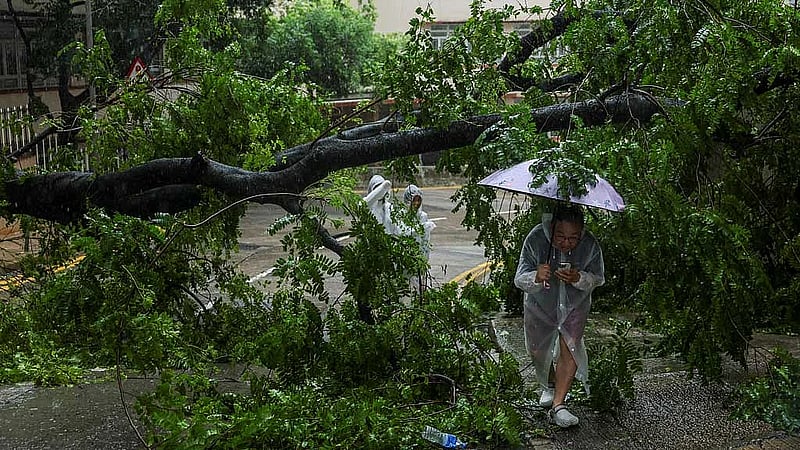 Typhoon rains batter Hong Kong before Wipha weakens to severe tropical storm in Guangdong