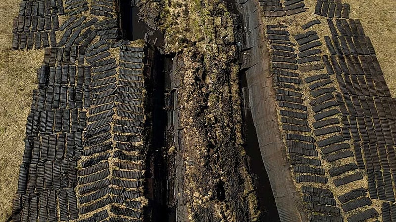 World risks up to $39tn in economic losses from vanishing wetlands, report says
