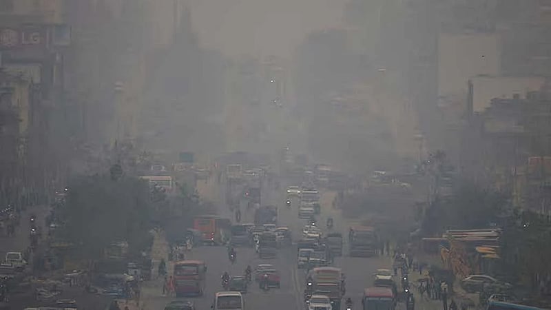 Air pollution exposure alters foetal brain development