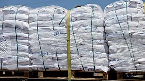 UN says most flour delivered in Gaza looted or taken by starving people