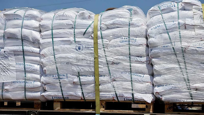 UN says most flour delivered in Gaza looted or taken by starving people