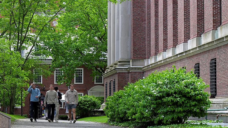 Harvard seeks end to US funding cuts, says national security, public health research in peril