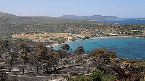 Greece battles wildfire in coastal town near capital, orders evacuations