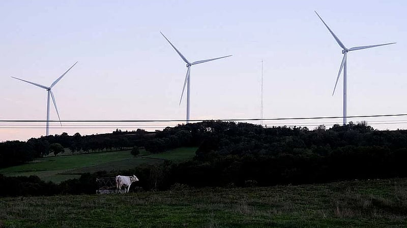 EU plans to add carbon credits to new climate goal, document shows