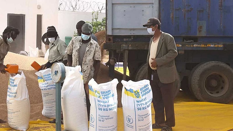 Ukraine turns to Africa in its struggle against Russia