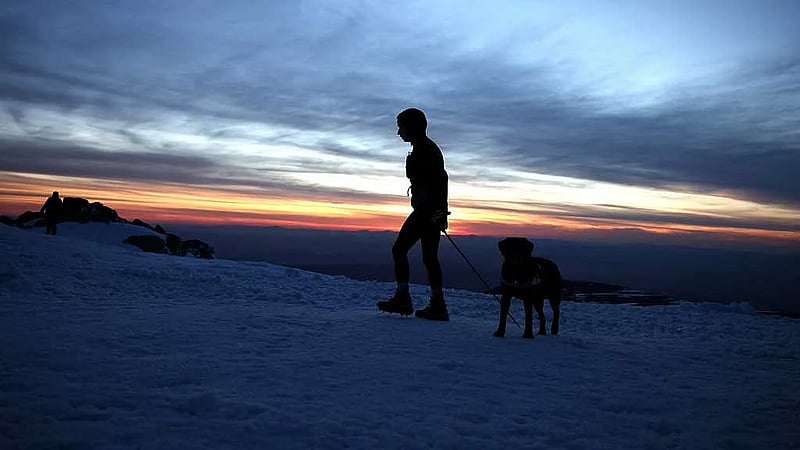 Blind Bulgarian runner defies sleep and exhaustion in 'Everesting' climbing challenge