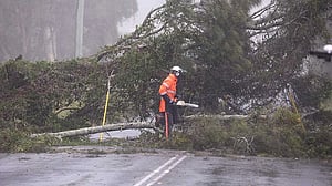 Thousands in Australia told to evacuate as Tropical Cyclone Alfred nears east coast