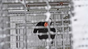 Why Canada is jailing more Indigenous people despite Trudeau's promises