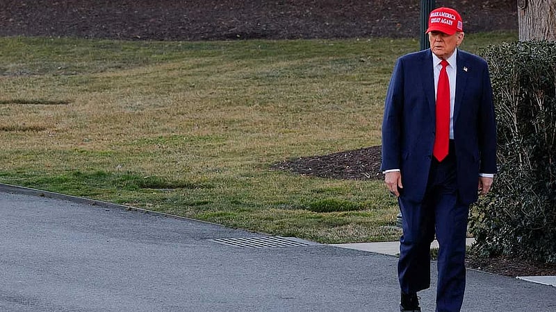 Trump orders new tariff probe into US lumber imports