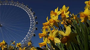London Eye, pioneering observation wheel, turns 25