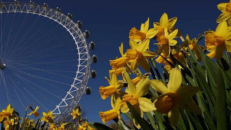 London Eye, pioneering observation wheel, turns 25