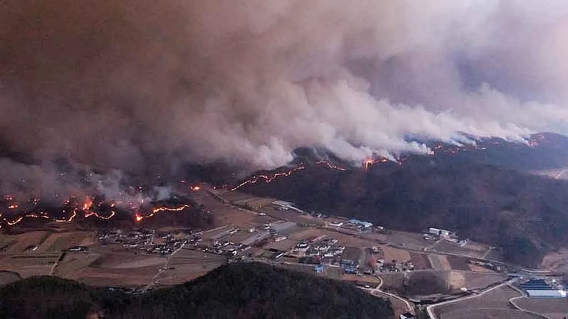 South Korea wildfires kill at least 24, pilot killed as firefighting helicopter crashes