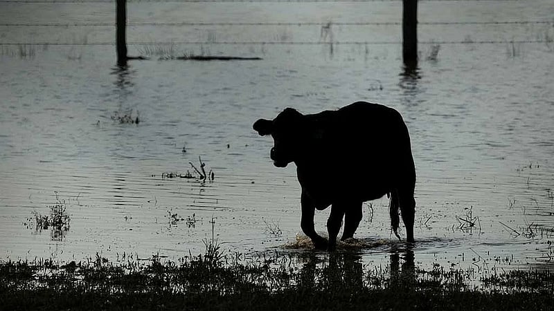 Australia floods recovery could take several months, PM says