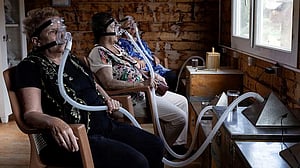Air from beehives comforts patients in Turkey