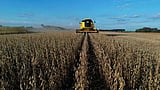 Brazilian researcher who helped country's grain boom wins World Food Prize