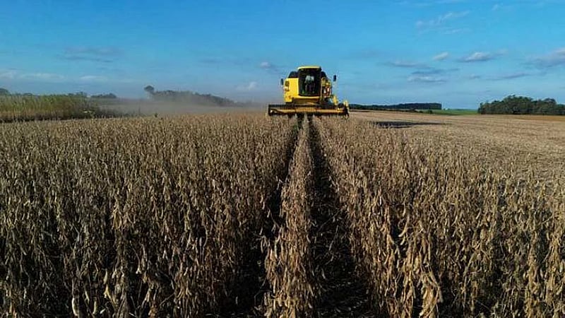 Brazilian researcher who helped country's grain boom wins World Food Prize