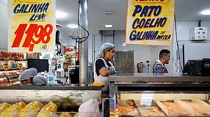 Brazil hopes to be officially free of bird flu in 28 days