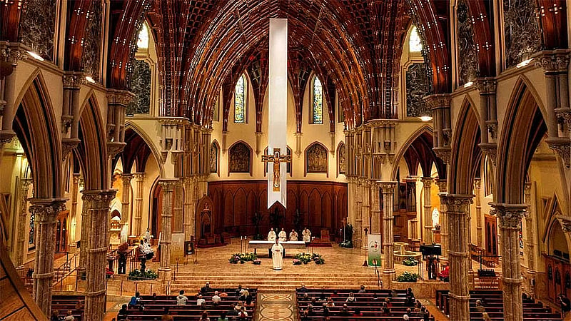 Warm American welcome for new pope masks US church's deep divide