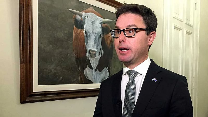 Australia's opposition coalition splits after election loss