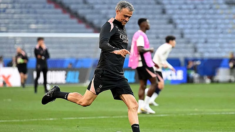 Experience and struggle have prepared PSG for Champions League glory, says Luis Enrique