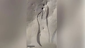 Study casts doubt on water flows as cause of streaks on Martian slopes