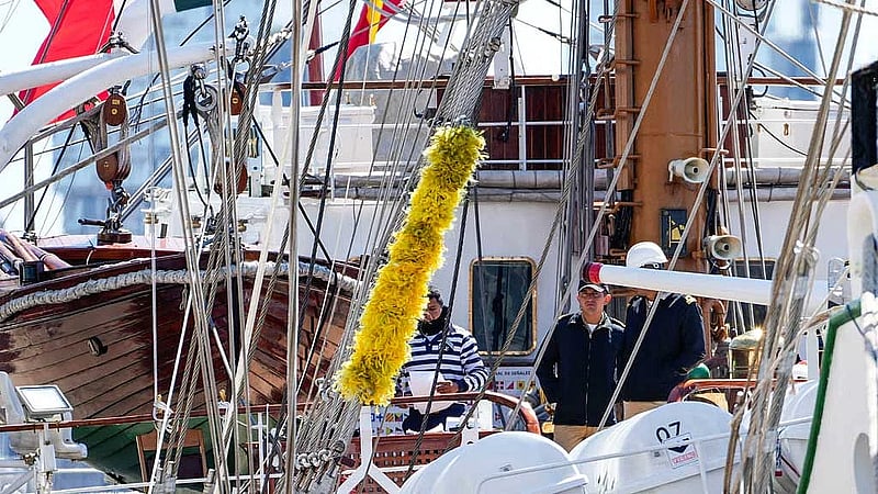 Probe of crash of Mexican tall ship into Brooklyn Bridge centres on engine
