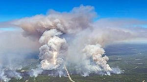Wildfire smoke exposure may shorten lung cancer survival