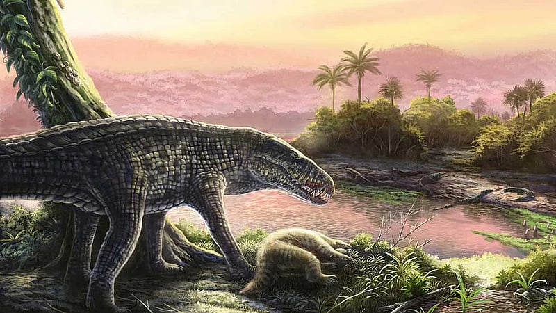 Fossils show unexpected last refuge of ferocious land-living crocs