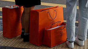 Ultra-rich shoppers wield perverse economic aegis