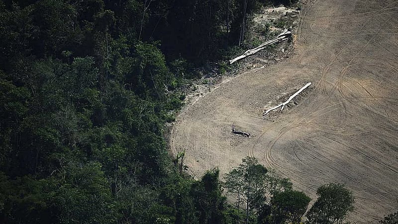 With more heat and storms, can COP30 boost frontline resilience?