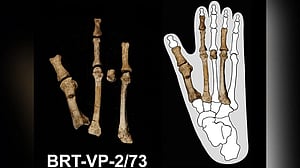 Scientists solve the mystery of the prehistoric 'Burtele Foot'
