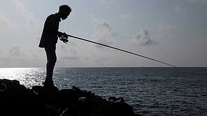 Cuban scientists race against time to save fish as old as the dinosaurs