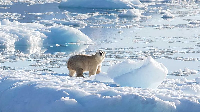 Iceland sees security risk, existential threat in Atlantic Ocean current's possible collapse