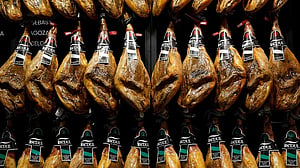 One third of Spanish pork export certificates blocked since swine fever outbreak, minister says