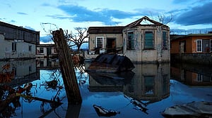 Jamaica declares outbreak of bacterial disease leptospirosis following Category 5 Hurricane Melissa