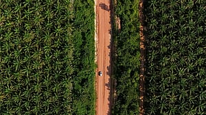 Thousands protest against state takeover of palm oil plantations in Indonesia's Riau