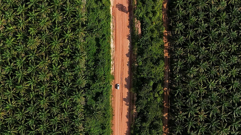 Thousands protest against state takeover of palm oil plantations in Indonesia's Riau
