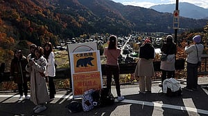 Japanese tourist village battles to keep bears at bay