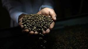 Trump signs order to remove tariffs from Brazilian beef, coffee