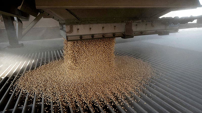 China buys at least 10 US soybean cargoes in new deals after Trump-Xi call, sources say