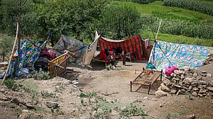 Tens of thousands in urgent need of shelter after Afghan quake, aid group says